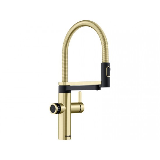 Blanco EVOL-S Pro Filter сатин золото