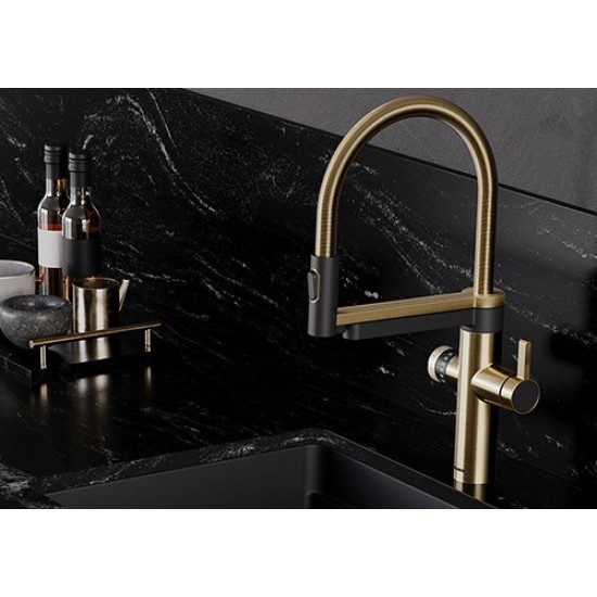 Blanco EVOL-S Pro Filter сатин золото