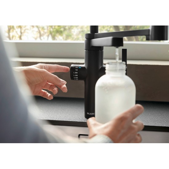 Blanco EVOL-S Pro Filter черный матовый