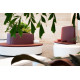 Natural SV041 Staron (Старон)