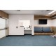 Swan PS813 Staron (Старон)
