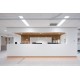 Swan PS813 Staron (Старон)