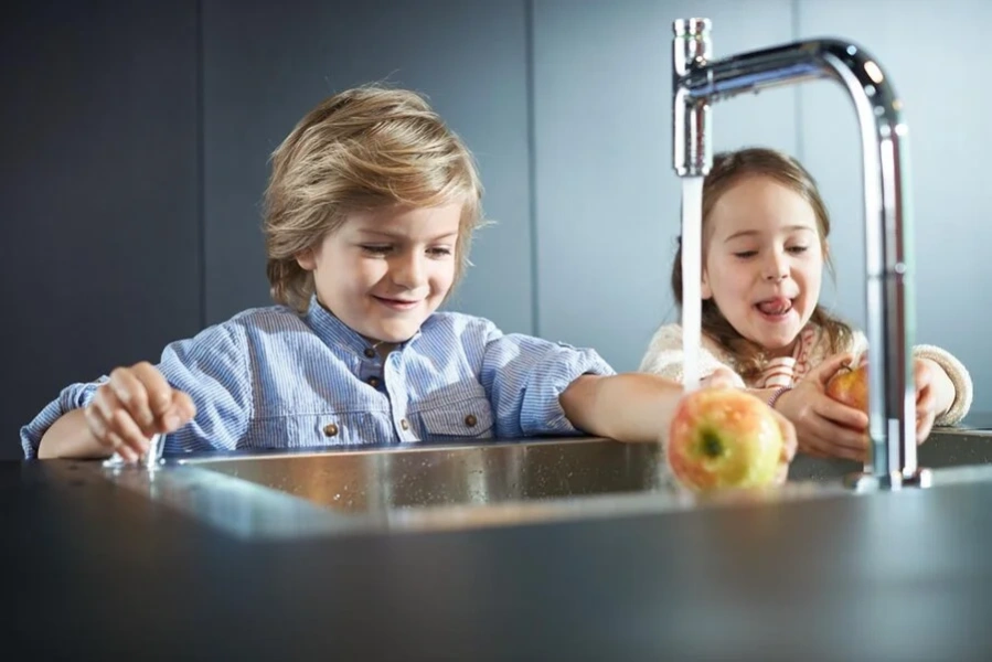 Мойка для кухни Hansgrohe C71-F660-08 сталь 43202800